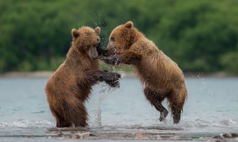 Hungry bear' crisis leaves two people dead in Russia’s far east