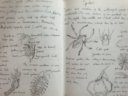 Les études de Gabbatiss sur les balanes et autres crustacés et les araignées.
