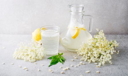 Elderflower lemonade.