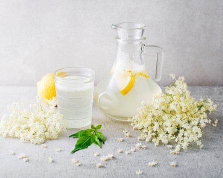 On a grey surface stands a jug containing elderflower lemonade and slices of lemon; a glass full of the lemonade; a lemon, some elderflowers and a sprig of mint.