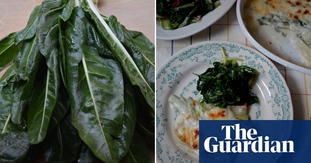 Rachel Roddy’s favourite recipe for chard stem gratin and garlicky greens