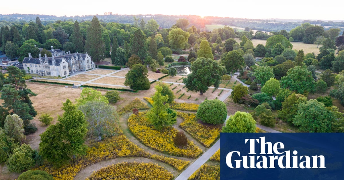 Turning over a new leaf: historic English gardens adapt to the changing climate | Plants Turning over a new leaf: historic English gardens adapt to the changing climate | Plants