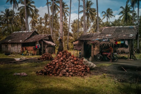 A pile of what appears to be coconut husks with two small wooden, thatched houses behind it and many palm trees around it