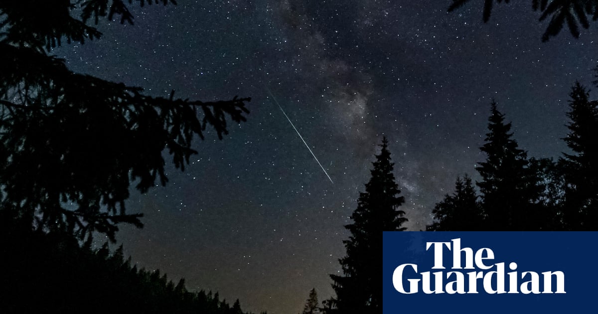 The best recent science fiction and fantasy – review roundup