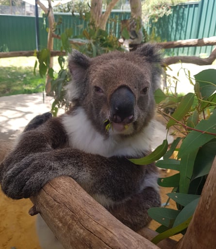 جاراه، عکسی از استرالیای غربی در ژانویهٔ ۲۰۲۳.