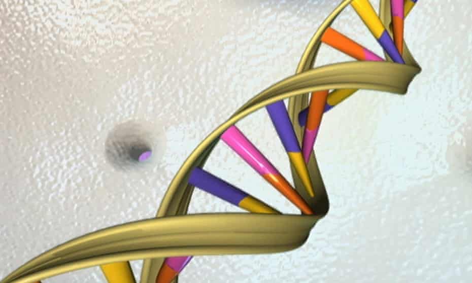 Artist’s illustration of a DNA double helix