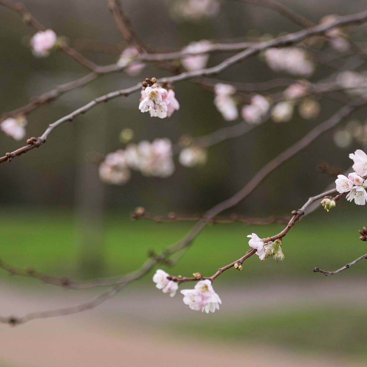 Uk Weather Forecasters Predict Warmest Winter Solstice On Record Uk Weather The Guardian