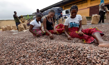 Women sort cocoa beans at a cocoa exporter's in Abidjan in the Ivory Coast in 2019.