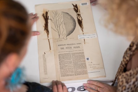 Prudence Gibson and staff looking at items from the herbarium’s vault