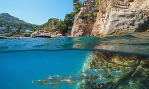 Rocky coast with a school of fish underwater, split view half above and below water surface, Begur, , Costa Brava