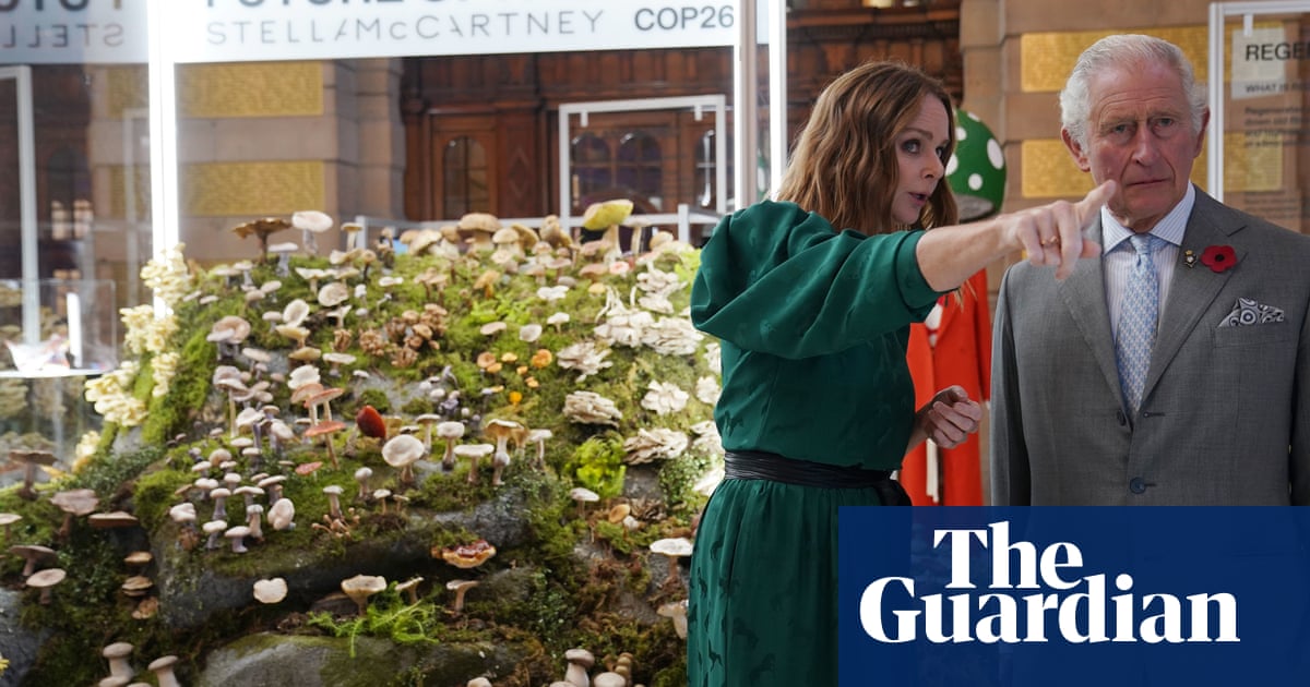 ‘Brands have been getting away with murder’: Stella McCartney and leading fashion figures on the fallout of Cop26