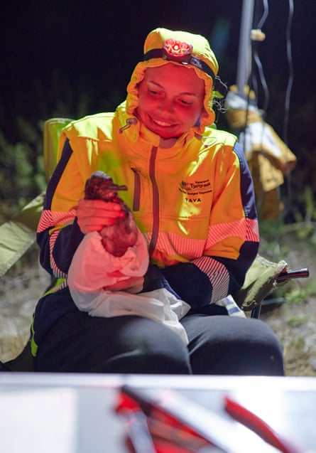 A ranger holds a bird
