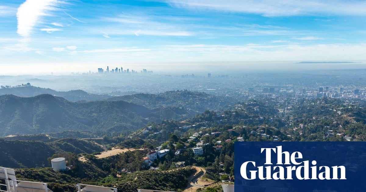 Snakes, bobcats, mountain lions: the secret animal world beneath the Hollywood sign
