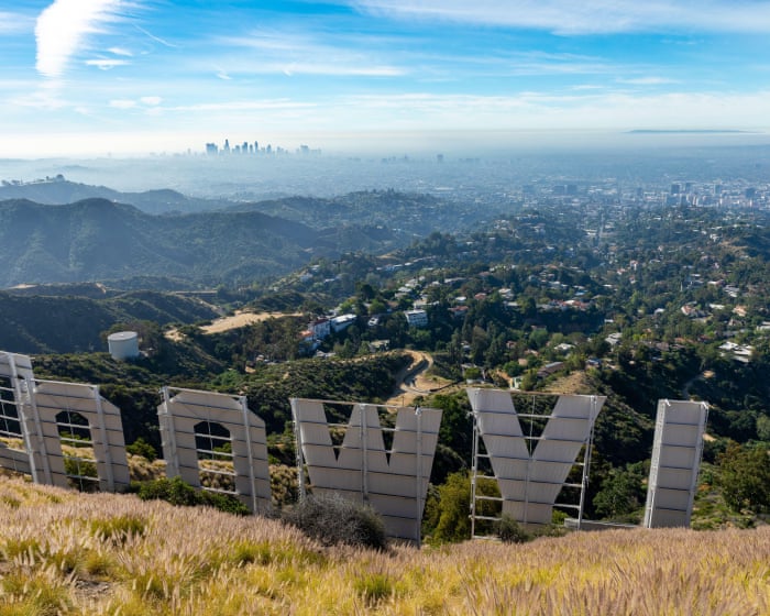 Snakes, bobcats, mountain lions: the secret animal world beneath the Hollywood sign