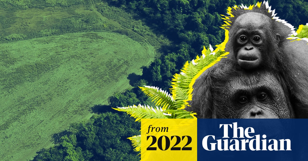 Nature Refusing The Line The five ways we’re killing nature and why it has to stop – video ...