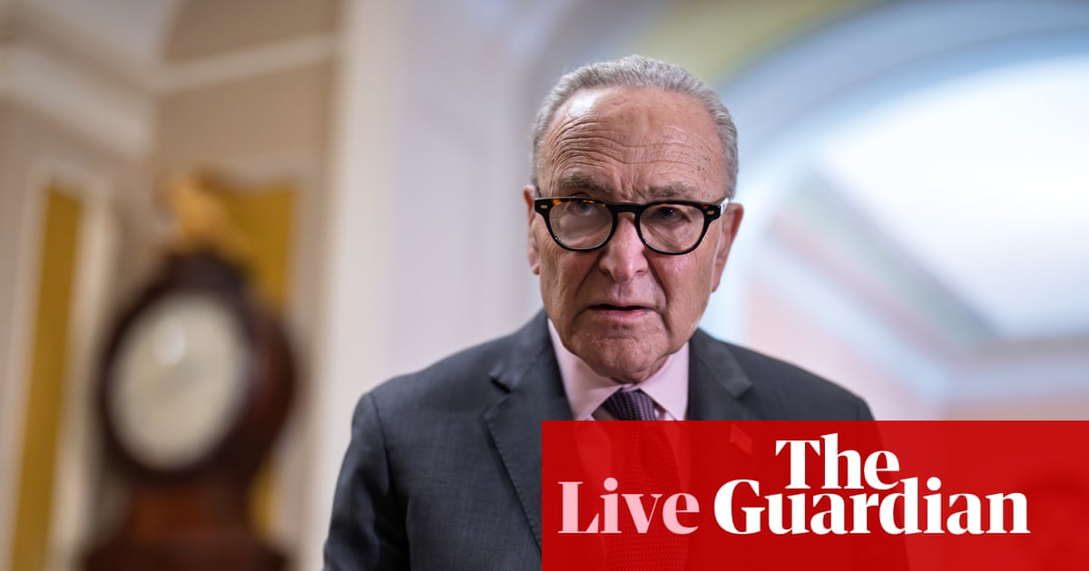 Chuck Schumer studies a flowchart labeled “What to do when the president sends federal agents to steal ballots,” while Trump circles the word ‘election’ and writes ‘MINE’ in Sharpie over it.