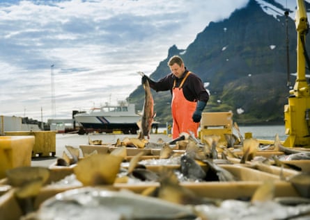 ‘For years, Iceland’s membership has stumbled over fishing rights’.