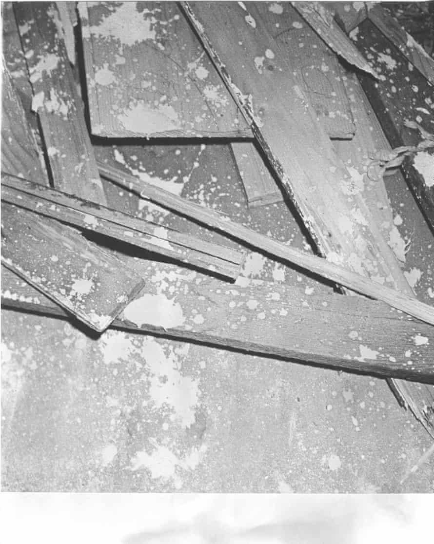 A photograph from In Situ, David O’Mara’s forthcoming book.