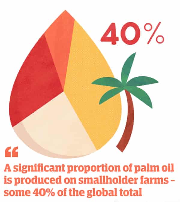 Illustration of palm tree with quote: "A significant proportion of palm oil is produced on smallholder farms - some 40% of the global total"