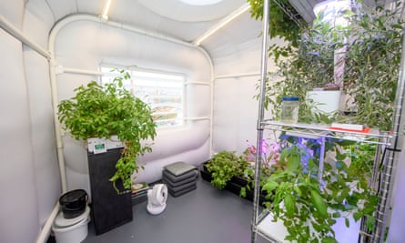 A small capsule-like room with plants