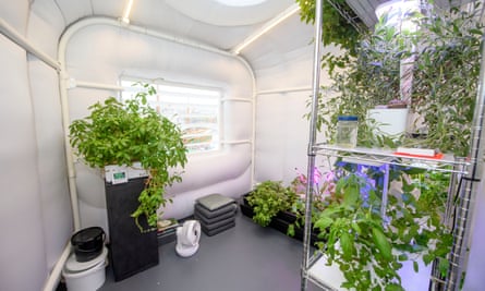 A small pod-like room with plants