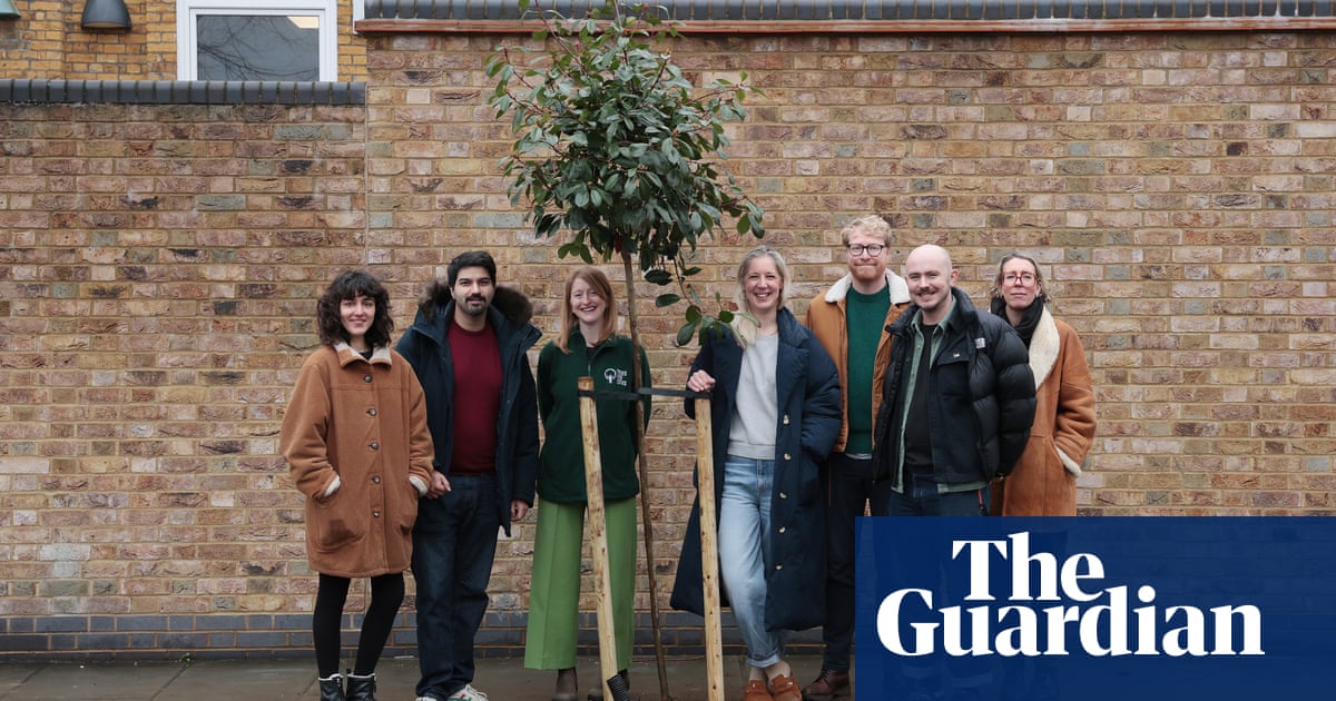 It will be beautiful to see our kids grow up with this': how communities around the world are planting trees