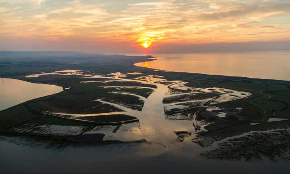 Steart Marshes