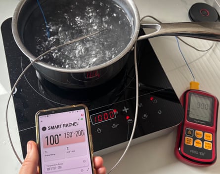 Weber Connect smart probe and grate sensor