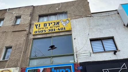 A bird flying outside a building with a yellow ad banner.
