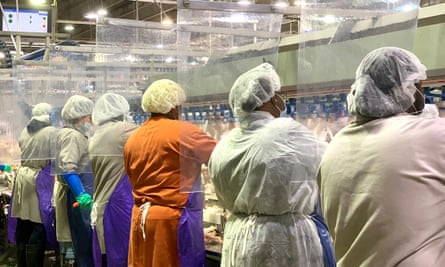 Workers wear protective masks and stand between a plastic dividers at a Tyson Foods poultry plant in Georgia.