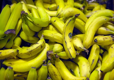 A pile of fairtrade bananas.