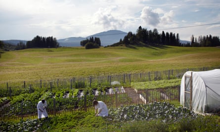 The vegetable garden at Fäviken produces about half the restaurant’s produce.