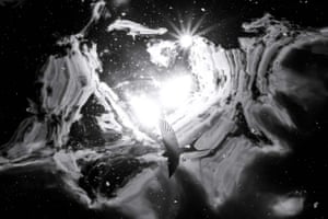 Nature’s studio category winner: Galaxy. The reflection of a barn swallow in flight