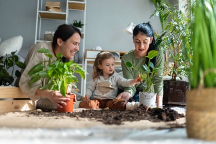 two women with long, dark hair look over a young girl at a table with a number of plants in pots and loose compost spread out across the surface