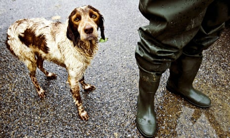 A soaking wet dog stands next to its owner