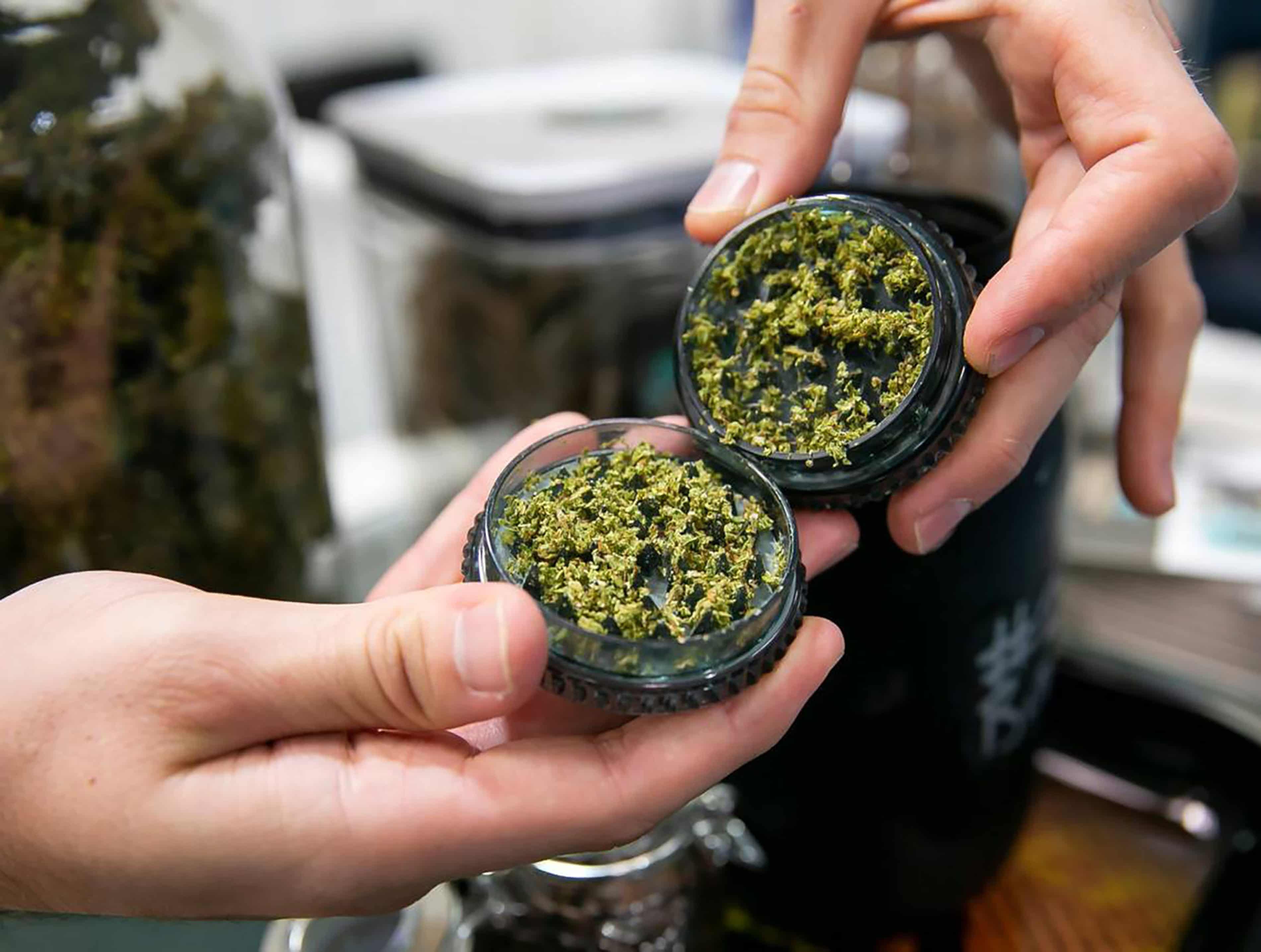 Analysis The cannabis industry is awaiting a legal green light, but can businesses survive? (theguardian.com)
