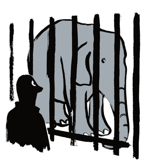 Illustration of a man looking at an elephant behind bars