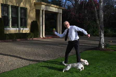 Anthony Albanese plays with his dog Toto at the Lodge, in Canberra.