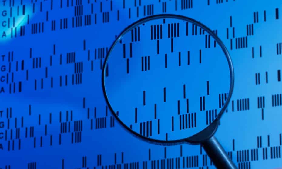 DNA Sequence Examined Under a Magnifying Glass in a Laboratory<br>A6TYCM DNA Sequence Examined Under a Magnifying Glass in a Laboratory