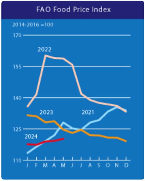 A chart showing the UN food price index