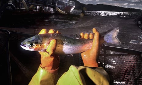 A salmon held in both hands at a fish farm