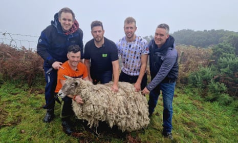 Fiona the sheep with rescuers - five farmers - standing in a field