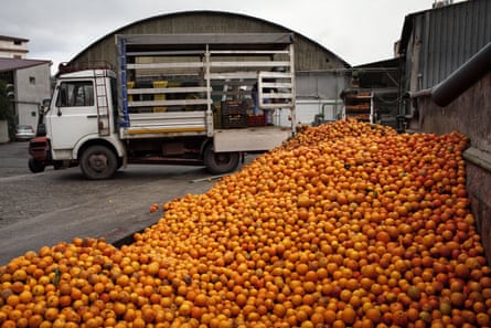 An orange processing factory in southern Italy.