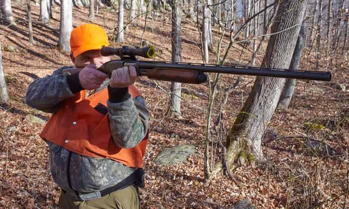 POLL: Should bear hunting in New Jersey be banned? 4500