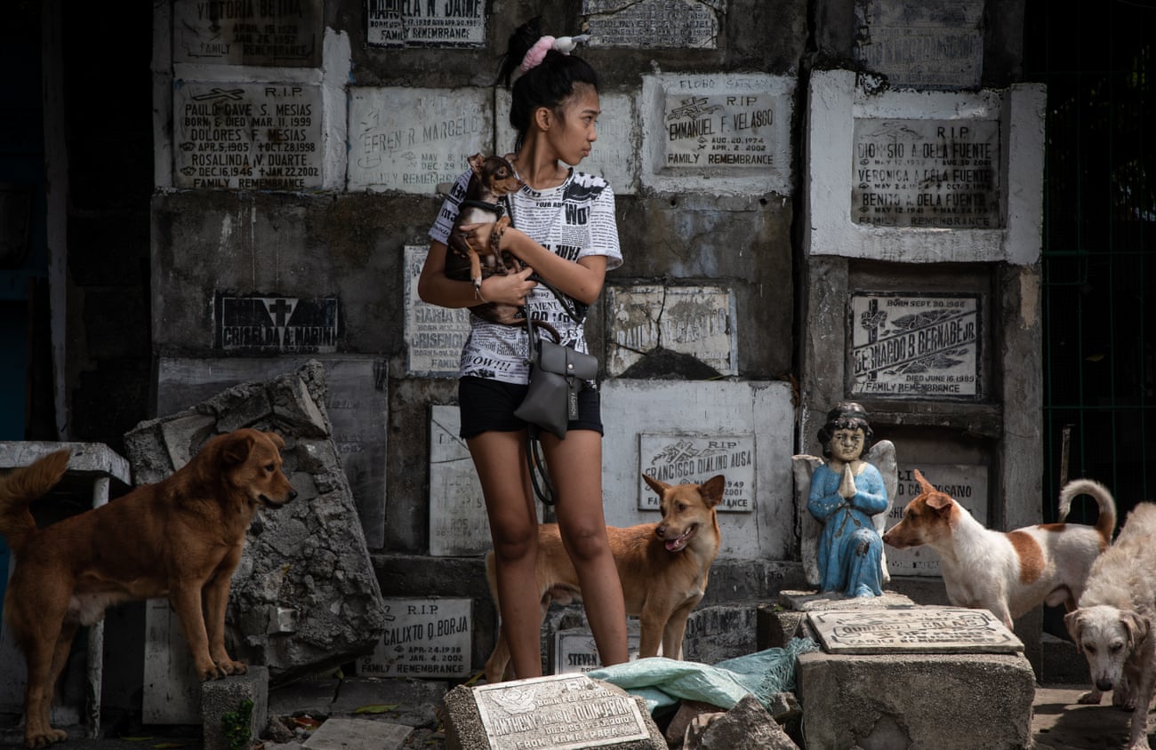 Dogs and humans live among the gravestones in Pasay cemetery, Philippines Dogs and humans live among the gravestones in Pasay cemetery, Philippines