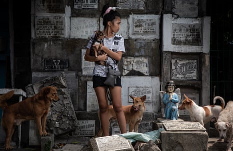 Honey,18, a graduating senior high student of Pasay East. She has eight dogs in her care and currently lives with her mom and dad in the cemetery.