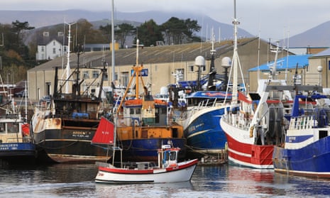 Fishing vessels in Kilkeel harbour, County Down. 