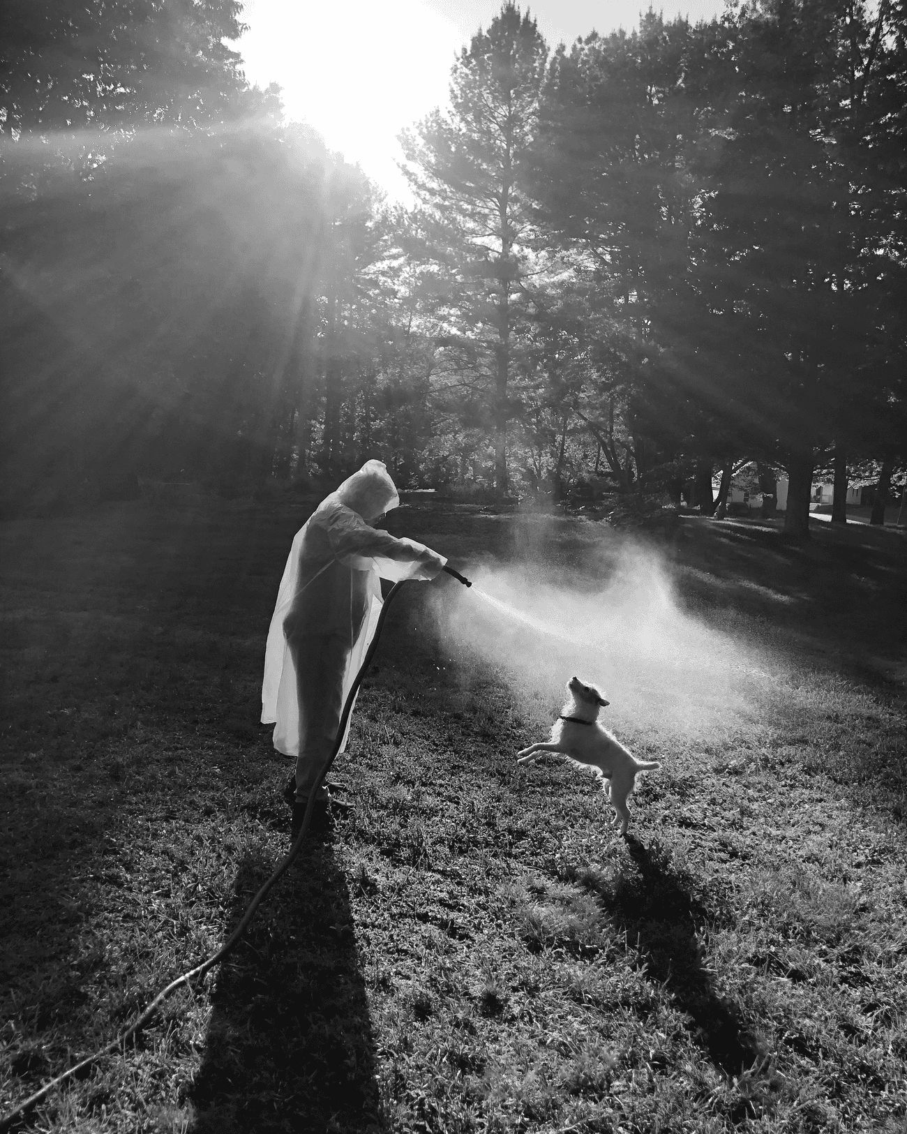 ‘Mi madre tenía demencia, pero sucedieron cosas hermosas’: la mejor fotografía de Cheryle St Onge ‘Mi madre tenía demencia, pero sucedieron cosas hermosas’: la mejor fotografía de Cheryle St Onge