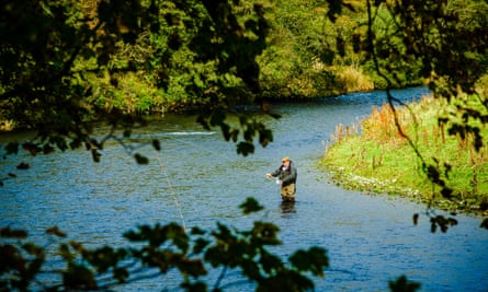 A fisherman in the River Tweed near Innerleithen