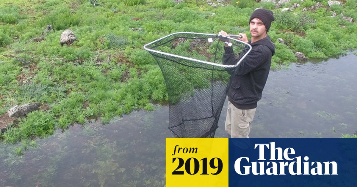 Budj Bim Indigenous eel trap site added to world heritage list ...